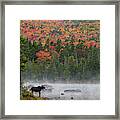 Fall Morning On The Pond Framed Print