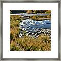 Fall Reflection On Woods Lake In Colorado Framed Print