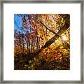 Fall Sunset Framed Print