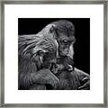 Family Bond Framed Print