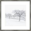 Family Playing In The Snow Framed Print