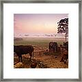 Farm Animals At Dawn, India Framed Print