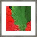 Feather Dancer Red And Green Framed Print