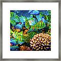 Feeding Frenzy Framed Print