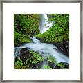 Fern Falls Framed Print