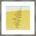 Fern Frond Framed Print