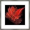 Fire Feathers Framed Print