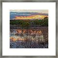 Fire In The Sky Over The Pines Framed Print