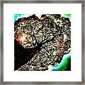 Fire Tree Abstract Framed Print
