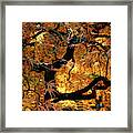 Fire Within Framed Print