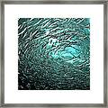 Fishes Framed Print