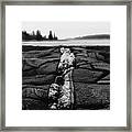 Fissures In Maine Framed Print