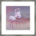 Flamingo Ballet Framed Print