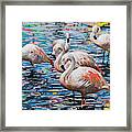 Flamingos #4 Framed Print