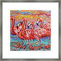 Flamingos At Sunset Framed Print