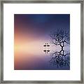 Flamingos In A Lake With A Tree Framed Print