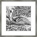 Flamingos Noir Framed Print