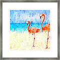 Flamingos Framed Print