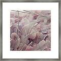 Floral Abstract In Pink Framed Print