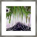 Floral Dream Framed Print