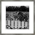 Floral Farmland In Black And White Framed Print