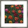 Floral Interpretation - Roses Framed Print