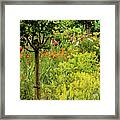 Florals In Yellow Framed Print