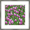 Flower Patterns Collection Set 07 Framed Print