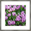 Flower Patterns Collection Set 09 Framed Print