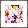 Flower Power Framed Print