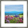 Flowers And Hills Framed Print