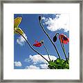 Flowers In The Sky Framed Print