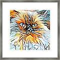 Fluffy Orange Himalayan Cat Framed Print