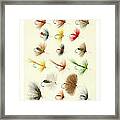 Fly Fishing Lures 1 Framed Print