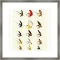 Fly Fishing Lures 21 Framed Print