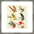 Fly Fishing Lures 23 Framed Print