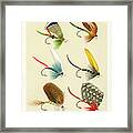 Fly Fishing Lures 27 Framed Print