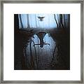 Fly To You 2 Framed Print
