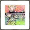 Flying Fish From Barbados Framed Print