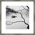 Fog Framed Print