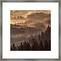 Fog Over A Conifer Forest At Sunrise Framed Print