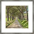 Follow The Tuscan Road Framed Print