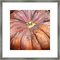 Food 89 Framed Print