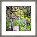 Footbridge Framed Print