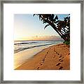 Footprints Framed Print