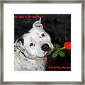 For The Love Of Staffies Framed Print
