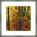 Forest Colours Framed Print