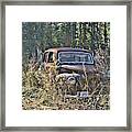 Forest Finds Framed Print