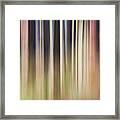 Forest Framed Print