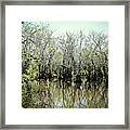 Spooked In The Everglades Framed Print